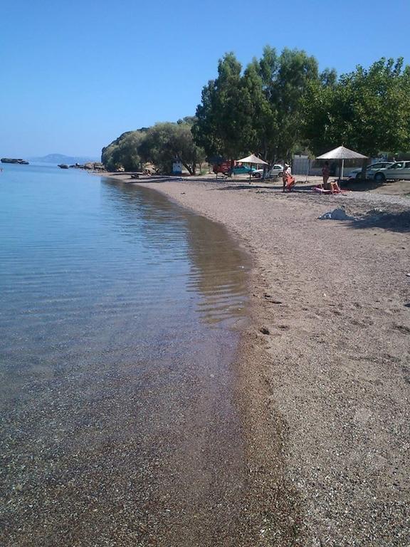 Evoikos Beach & Resort Livanátai المظهر الخارجي الصورة