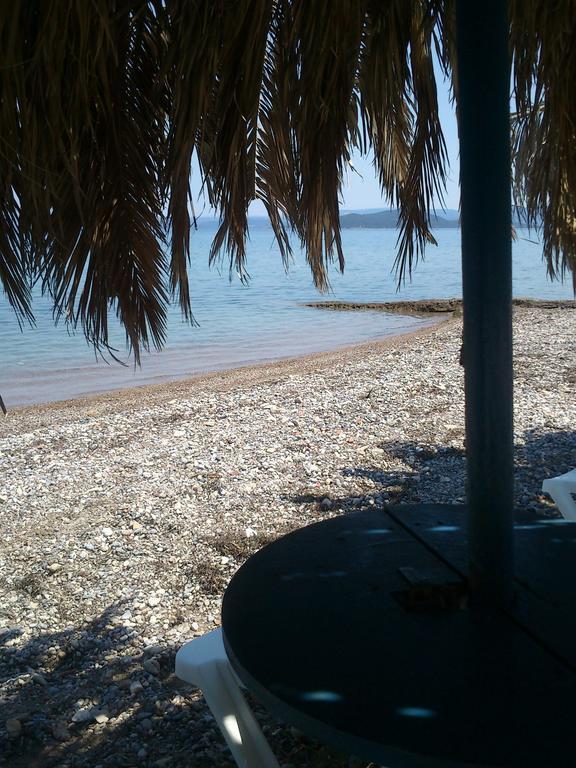 Evoikos Beach & Resort Livanátai المظهر الخارجي الصورة