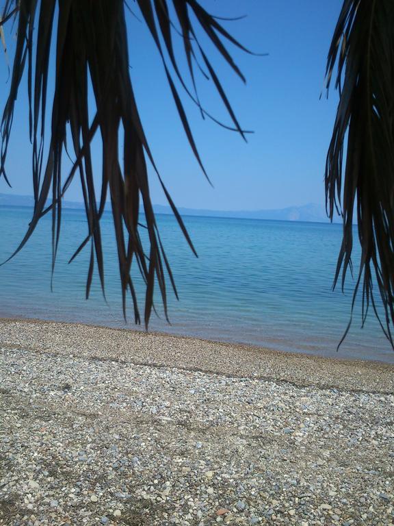 Evoikos Beach & Resort Livanátai المظهر الخارجي الصورة