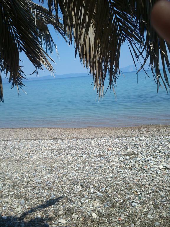 Evoikos Beach & Resort Livanátai المظهر الخارجي الصورة