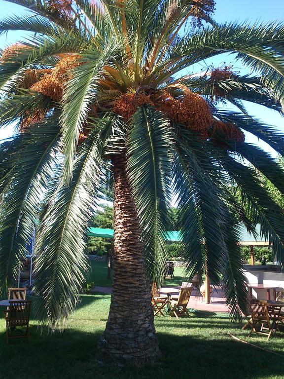 Evoikos Beach & Resort Livanátai المظهر الخارجي الصورة